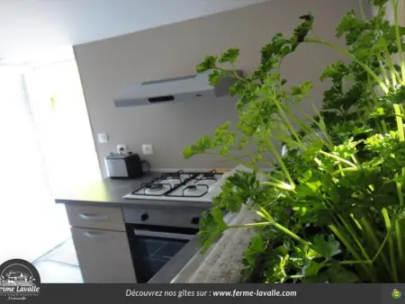 Maison mitoyenne avec jardin privé, près de Utah Beach, 1 chambre, animaux acceptés, équipements inclus. - Photo 6