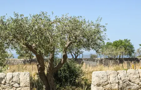 Location Maison 18 personnes à Santa Croce Camerina - Photo 26