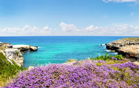 Location Maison 6 personnes à Noci - Photo 31