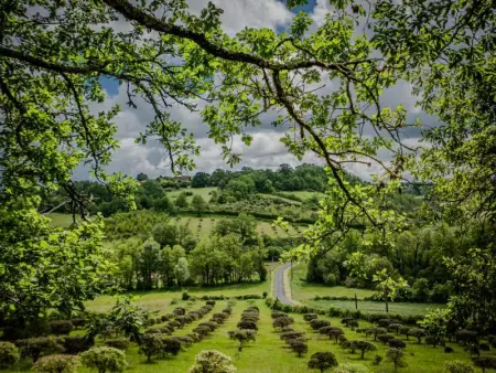 Villa Dorade, Maison 15 personnes à Monplaisant - Photo 20