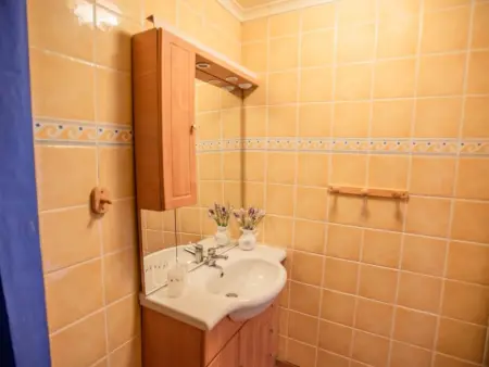 Villa Dorade, Maison 15 personnes à Monplaisant - Photo 58