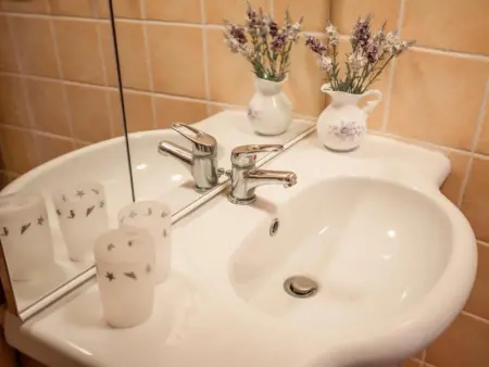 Villa Dorade, Maison 15 personnes à Monplaisant - Photo 59