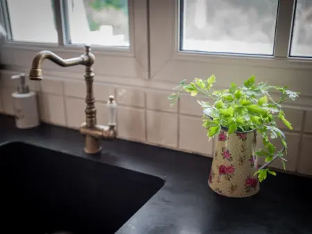 Villa Dorade, Maison 15 personnes à Monplaisant - Photo 80