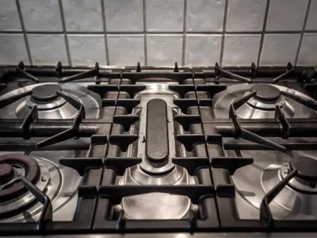 Villa Dorade, Maison 15 personnes à Monplaisant - Photo 81