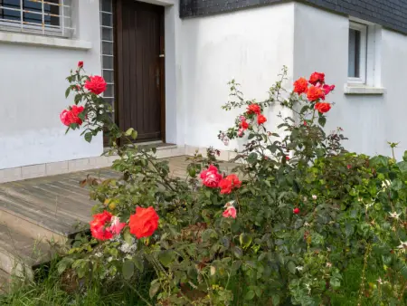 Belle Vue Mer, Appartement 4 personnes à Tregunc - Photo 26