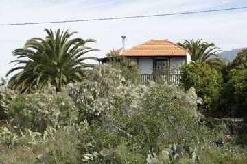 Location Haus in Tijarafe La Punta,81955 ES-38780-13 N°1004668