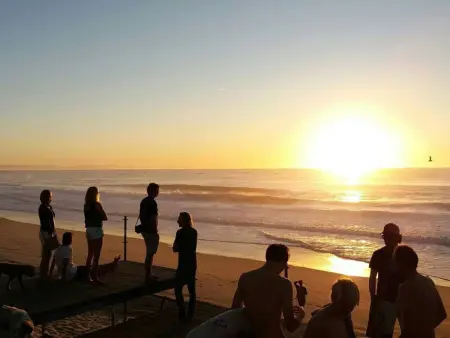 Villa d'Architecte avec Piscine Chauffée, Terrasse et Services Hôteliers à Soorts-Hossegor - Photo 13