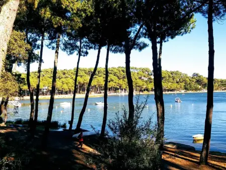 Villa d'Architecte avec Piscine Chauffée, Terrasse et Services Hôteliers à Soorts-Hossegor - Photo 15