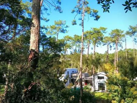 Villa d'Architecte avec Piscine Chauffée, Terrasse et Services Hôteliers à Soorts-Hossegor - Photo 28