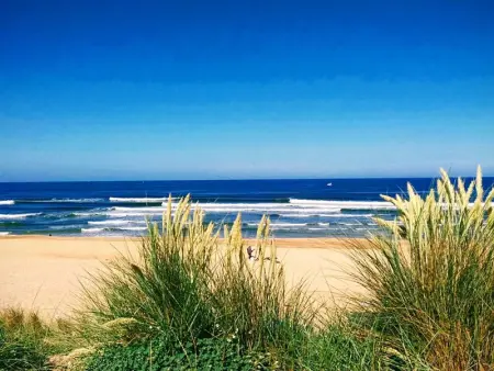Villa d'Architecte avec Piscine Chauffée, Terrasse et Services Hôteliers à Soorts-Hossegor - Photo 29