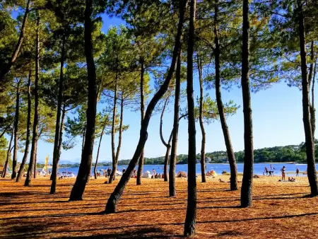 Villa d'Architecte avec Piscine Chauffée, Terrasse et Services Hôteliers à Soorts-Hossegor - Photo 34