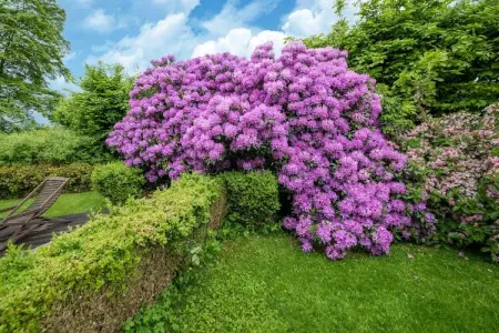 Aubepine, Maison 8 personnes à Sart Jalhay - Photo 34
