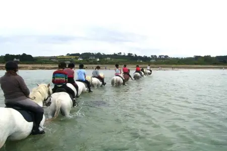 holiday home Port-Blanc - Penvénan, Maison 6 personnes à Penvénan - Photo 28