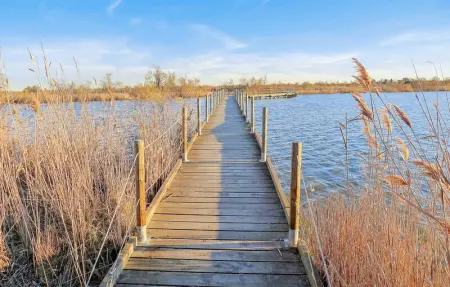 Location Maison 6 personnes à Aigues Mortes - Photo 30