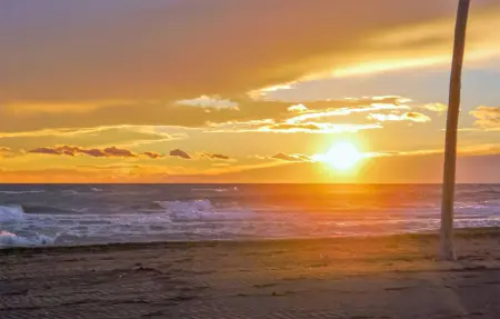 Location Maison 6 personnes à Aigues Mortes - Photo 35