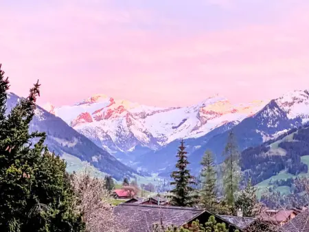 Chalet Rebhalde, Maison 12 personnes à Schönried - Photo 34