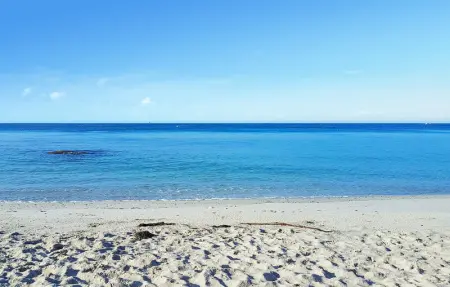 Location Maison 9 personnes à Riec sur Belon - Photo 19