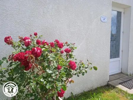 Gîte cosy avec piscine près des plages et du Marais Poitevin - Photo 8