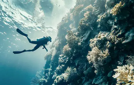 Location Maison 4 personnes à Aguilas - Photo 19