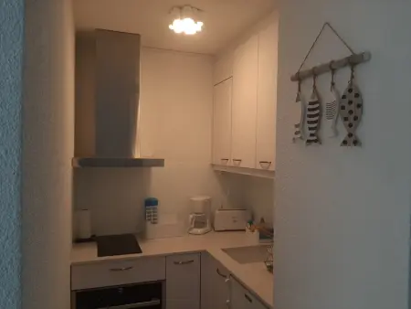 À deux pas des commerces et de l'océan, appartement rénové avec terrasse à Seignosse - Photo 9