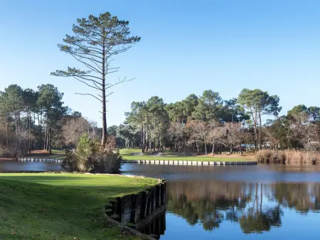 À deux pas des commerces et de l'océan, appartement rénové avec terrasse à Seignosse - Photo 21