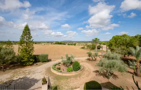 Location Maison 6 personnes à Manacor - Photo 25