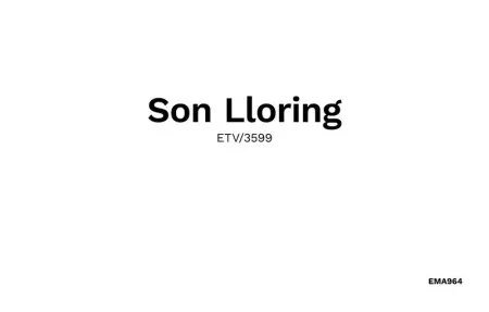 Location Maison 6 personnes à Manacor - Photo 44