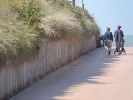 Green Garden Q17 - 203 with shared pool, Appartement 2 personnes à De Haan - Photo 11