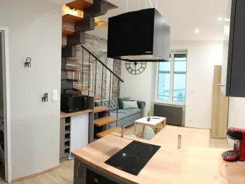 Appartement à Le Mayet de Montagne,Duplex cosy avec terrasse, proche Vichy, idéal pour escapade sportive et familiale FR-1-489-525 N°1006659