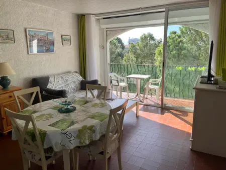 Appartement à Argelès sur Mer, Appartement 2 pièces avec piscine et tennis, à 250m de la plage - Argelès-sur-Mer - L1006799