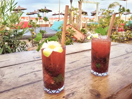 Canet Sud - T2 cabine 4/6 pers - Terrasse - Accès direct plage - Photo 14