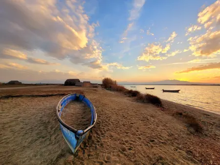 Canet Sud - T2 cabine 4/6 pers - Terrasse - Accès direct plage - Photo 16