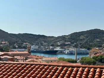 Appartamento a Port Vendres,Port-Vendres - T2 avec double terrasse et parking privatif FR-1-309-469 N°1007280