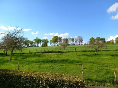 Grande maison avec babyfoot et accès handicapé, jusqu'à 13 personnes - Photo 33