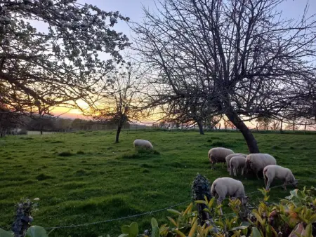 Grande maison avec babyfoot et accès handicapé, jusqu'à 13 personnes - Photo 34