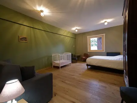 Chalet familial avec salle de jeux et spa, près de Gérardmer, pour 15 pers. - Photo 14