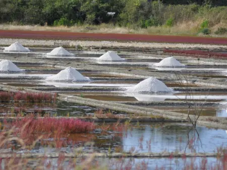 Maison neuve au calme avec jardin clos, proche plage, port et équipements familiaux - Photo 14