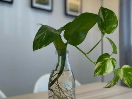 Appartement Calme à Cordoue, Proche des Monuments et Commerces - Photo 9