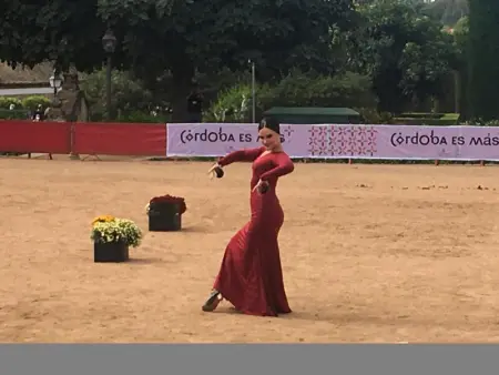 Appartement à Córdoba : Piscine, garage et quartier commerçant - Photo 21