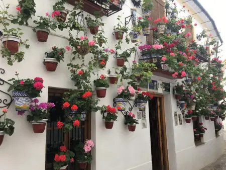 Appartement à Córdoba : Piscine, garage et quartier commerçant - Photo 22