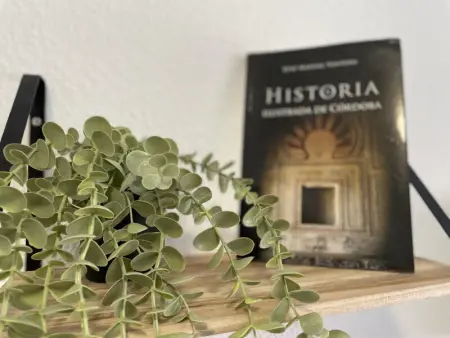 Appartement Traditionnel à 10 Min du Centre Historique de Cordoue - Photo 6