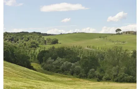 Location Maison 6 personnes à Monteroni d'Arbia - Photo 40