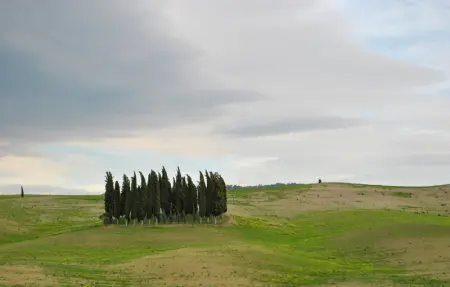 Location Maison 6 personnes à Monteroni d'Arbia - Photo 43