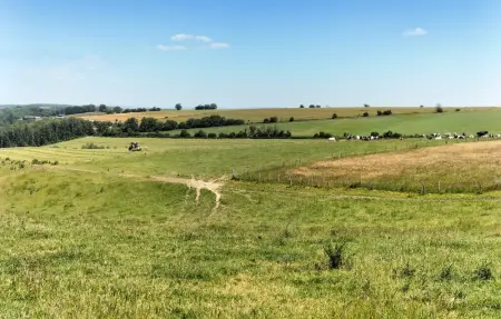 Location Maison 6 personnes à Somme Leuze - Photo 33