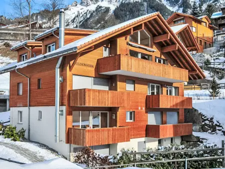 Goldenhorn Apt.S, Appartement 6 personnes à Wengen - Photo 33