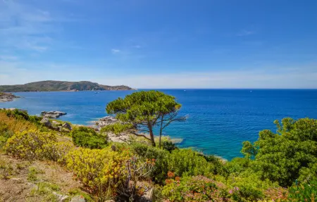 Location Appartement 2 personnes à Calvi - Photo 3