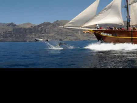 Confort Moderne avec Terrasse et Piscine sur le Toit - Photo 6