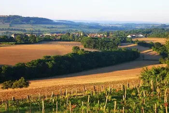 Côte-D'or, Barco en Semur en Auxois, 94486 FR-21140-04 N°1009499