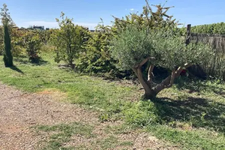 Le Hangar de Jean, Maison 6 personnes à Sainte Valière - Photo 30