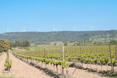 Le Hangar de Jean, Maison 6 personnes à Sainte Valière - Photo 31
